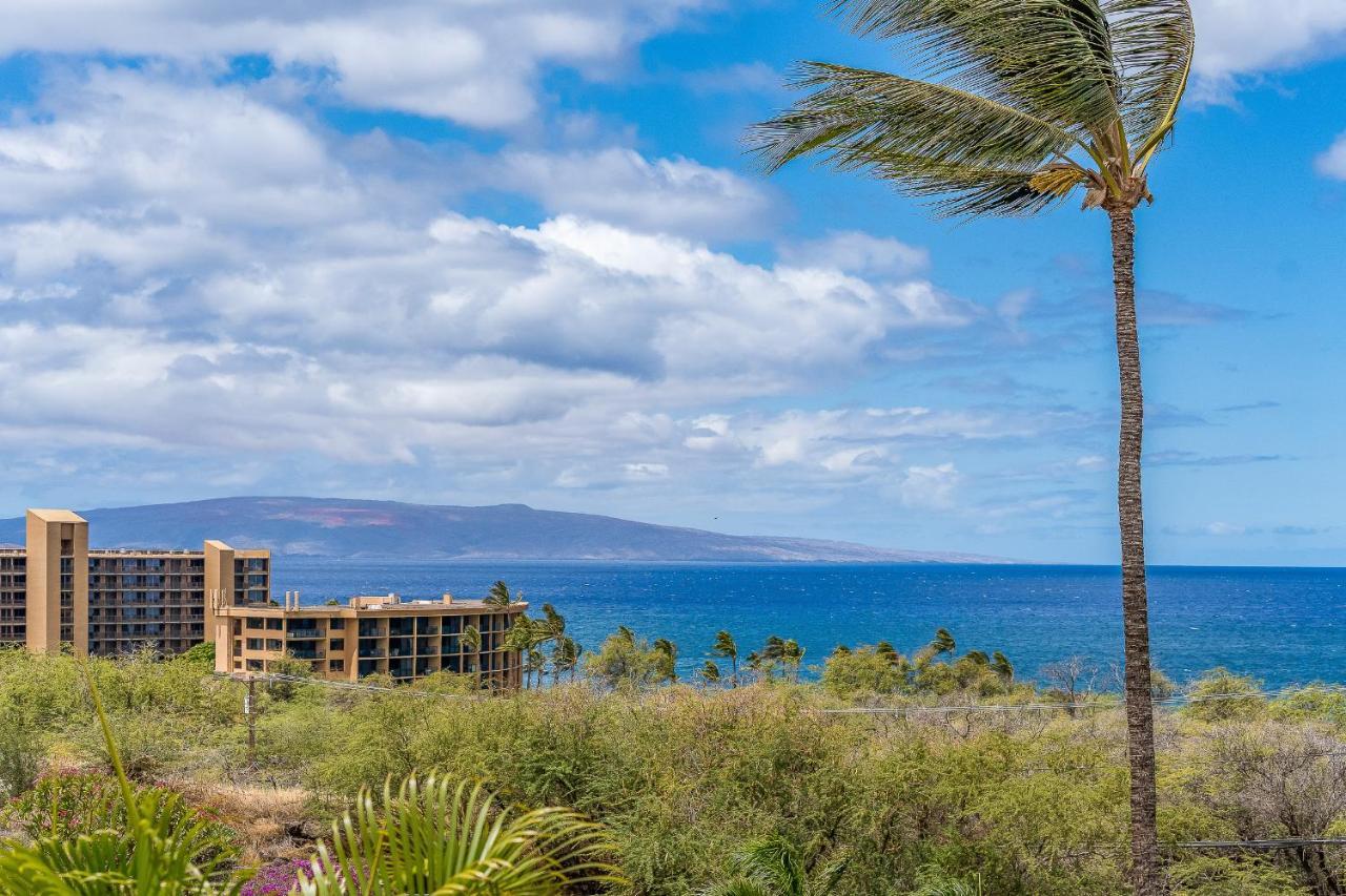 Maui Kamaole A204 - Romvari Realty Kihei Eksteriør billede
